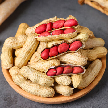 哺食旺广东红皮花生带壳新货农家新鲜种子生的四粒红衣花生米2022新货