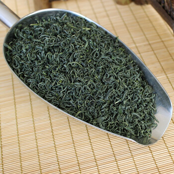 崂山绿茶2021年新茶叶500g散装浓香耐泡崂山茶青岛特产500g