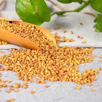 黄苦荞茶四川大凉山荞麦茶麦香型特级散装批蕟饭店浓香型特级黄苦乔