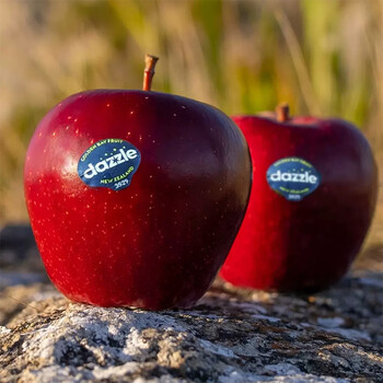 新西兰进口苹果 dazzle丹烁苹果秋季水果 时令苹果 新鲜水果礼盒 苹果