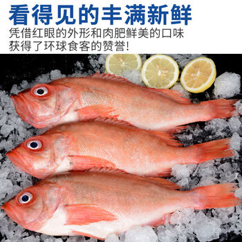 红石斑鱼冷冻整条深海海捕大龙胆鱼富贵鱼鲜活海鲜净重5斤新鲜