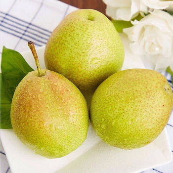 年货精选源自新疆香梨3510斤新鲜水果酥梨应季红香酥梨批发脆甜皮薄