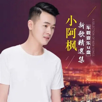 小阿枫专辑歌曲u盘网络流行视频mv无损mp3音乐优盘醉倾城歌曲16g歌曲