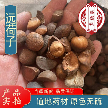 瑞满恒华梁草中药材华良草华粮草华梁草另售远荷子50克500克远荷子50