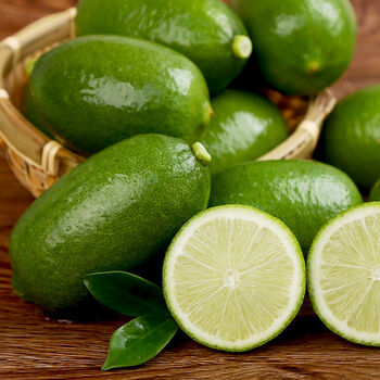 香水柠檬海南一级果皮薄新鲜无籽青柠檬5斤奶茶店用品 一级果 2500g【