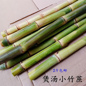 新鲜小竹蔗 甘蔗 煲汤 做糖水专用蔗,正宗竹蔗特小甘蔗2