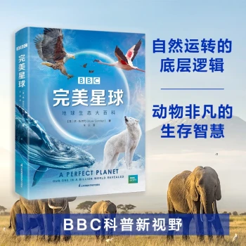 BBC完美星球（精)