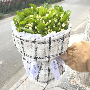 满芬鲜花同城配送茉莉花花束毕业生日祝福表白纪念送老婆男女友闺蜜全国同城花店速递当日送达茉莉花 小香风包装 图片价格品牌报价 京东