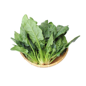 菠菜新鲜青菜蔬菜红根农家自种小菠菜菜叶精品火锅食材生鲜 8斤【手工