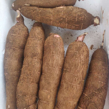 60海南红皮白肉新鲜木薯自家现挖新鲜黄心板栗薯木番薯食品定制礼包