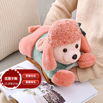 暖手宝充电可拆卸防爆安全暖宝宝卡通可爱电暖宝粉色泰迪防爆可拆卸