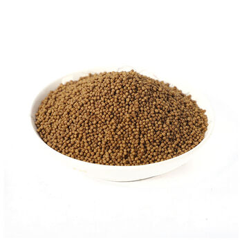 鱼食颗粒通用鱼粮大中小颗粒浮水饲料10小颗粒适合48厘米小鱼鱼苗1斤