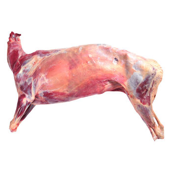 新鲜整羊羊肉羊排羊腿烧烤全羊现杀急冻羔羊食材锦祥橙25斤全羊