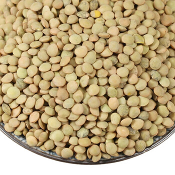 扁豆金豌豆500g小扁豆云南特产新货兵豆五谷杂粮昭通凉粉原料【图片 