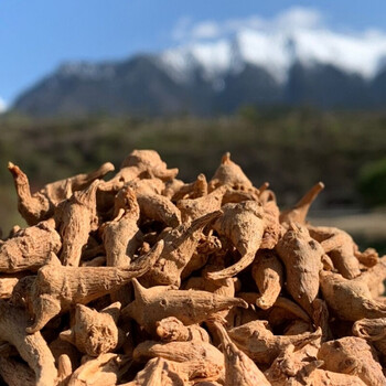 西藏野生人参藏小三七  三七良心田七三七粉定制 250g