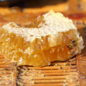御蜂园新疆伊犁天然百花蜂巢蜜老蜂巢野生黑蜂土蜂蜜500g伊犁野生蜂巢