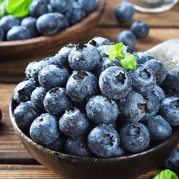 凤宝山山东青岛宝山蓝莓125g/盒 蓝莓鲜果 时令新鲜水果 青岛胶南特产