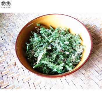 贵州野生伸筋草1斤 新晒舒筋草中药材狮子草狮子尾生斤草石松