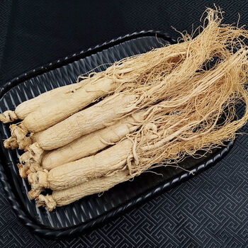 长白山人参生晒参特大8年根整支新鲜白人参干人参煲汤泡酒参6年根250