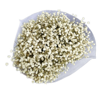 满天星干花大束长款网红花束七夕节日干花花束家居装饰摆设小清新 宝