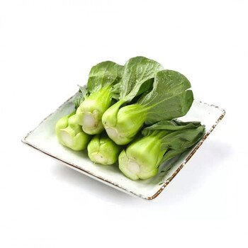 青矮脚菜青油菜现采现发无冻伤黑小油菜新鲜蔬菜 1斤 上海本地青