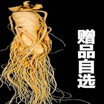 人参长白山老参王吉林人参泡酒煲汤泡水滋补礼品人参保鲜30年老参王