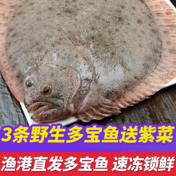 鮨京多寶魚鮮活速凍大菱鮃比目魚新鮮冷凍海魚類海鮮水產多寶魚500g