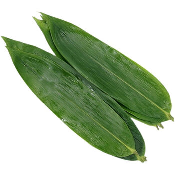 粽子叶大叶包粽子的叶子棕叶子粽叶新鲜粽叶子真空包装粽子叶家用新鲜