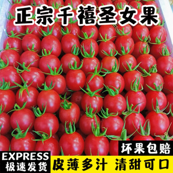 爵妃现摘新鲜山东千禧圣女果蜂蜜冰糖小番茄西红柿精品果容美果5斤包