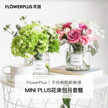 花加miniplus 花加 Flowerplus Miniplus桌花6个月24束周六收花 行情报价价格评测 京东