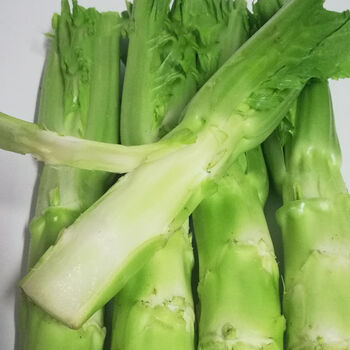 四川特产棒菜菜苔新鲜棒菜青菜头菜心芥菜脑壳菜老壳蔬菜批发新鲜棒菜