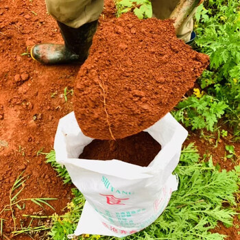 泰隆齐清香木土云南高原红土河沙陶粒椰砖养龟风化土酸性透气土壤云南