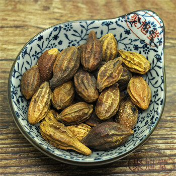 500g 大肉柯子呵子诃黎勒随风子诃梨