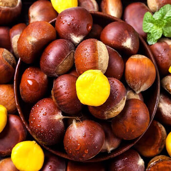 媚调现货新鲜生板栗 油栗子去毛球2斤尝鲜装 栗仁蔬菜装 5斤 大果