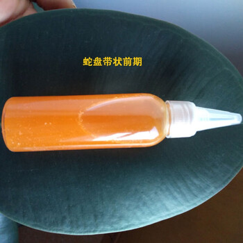 老烟袋油子蛇盘腰膏奇方三效合一蛇胆蛇缠腰龙前期后遗 前期型