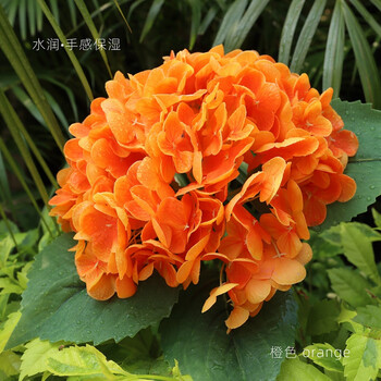 手感绣球花仿真花高档家居客厅装饰餐桌花艺摆件假花束摄影 橘橙色 1