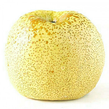 秋梨贡梨雪花梨砀山梨子新鲜水果皇冠梨脆青梨酥梨 9斤