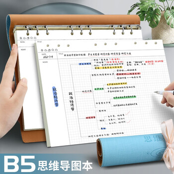 法拉蒙 康奈尔笔记本本子活页本可拆卸替换内芯思维导图本活页纸横线本软皮考研计划本定制 【思维导图活页本】B5-天蓝色