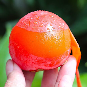 龙觇  陕西纯甜软柿子火晶 金钱蜜新鲜应季水果 30枚单果60g