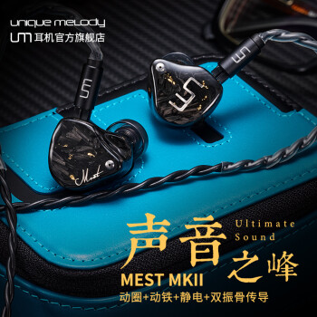 UM UM Mest2 MKii双振骨传导更全面听音感受的入耳式hifi有线耳机 黑色 公模2.5mm插头