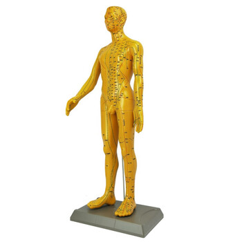 穴位人体模型假人模型全身医学美术经络教学中医塑料铜色人小人练习