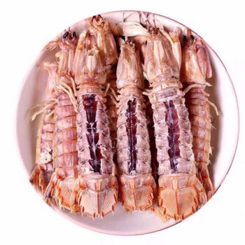 食芳溢海鲜野生大皮皮虾鲜活虾爬子带膏黄虾姑爬爬虾全母琵琶虾水产熟