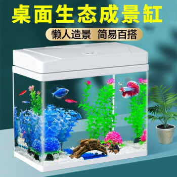 疯狂水草金鱼缸水族箱客厅桌面小型超白智能迷你玻璃鱼缸230水草景套餐 清洁套餐5件套 图片价格品牌报价 京东