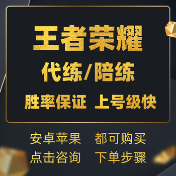 王者荣耀代练陪练代打 排位上分 上星 王者荣耀 代打 战令等级 巅峰赛