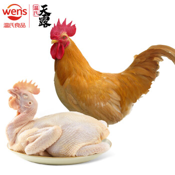温氏 供港土香鸡 1kg 高品质供港鸡 农家慢养 椰子鸡火锅食材 