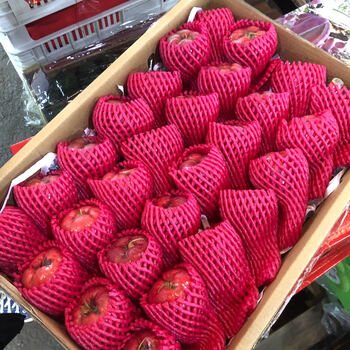 新鲜水果海南三莲雾红宝石莲雾大果5斤礼盒装多地顺丰