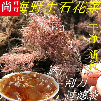 500g青岛特产海冻菜海藻石花菜海凉粉海石花干货石花膏毛菜 图片价格品牌报价 京东