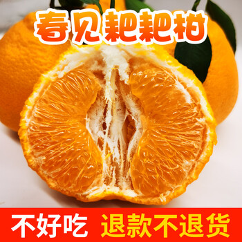 春见粑粑柑上市时间(春见粑粑柑多少钱一斤)