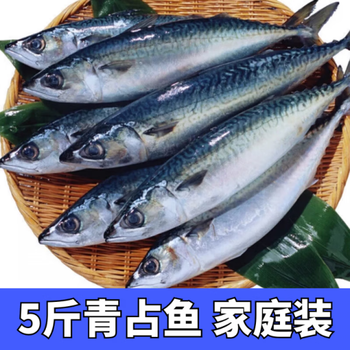 大鲐鱼青占鱼新鲜冷冻鲭鱼烤青鱼日式冷冻 2500g 5斤精选【图片 价格