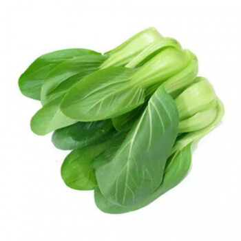 上海青新鲜小油菜青菜现采现发应季蔬菜绿叶菜小白菜3斤精品保温箱